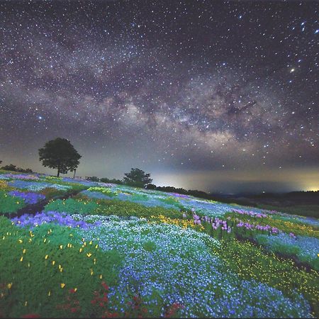 くじゅう花公園　キャンピングリゾート花と星 Kuju Exterior photo