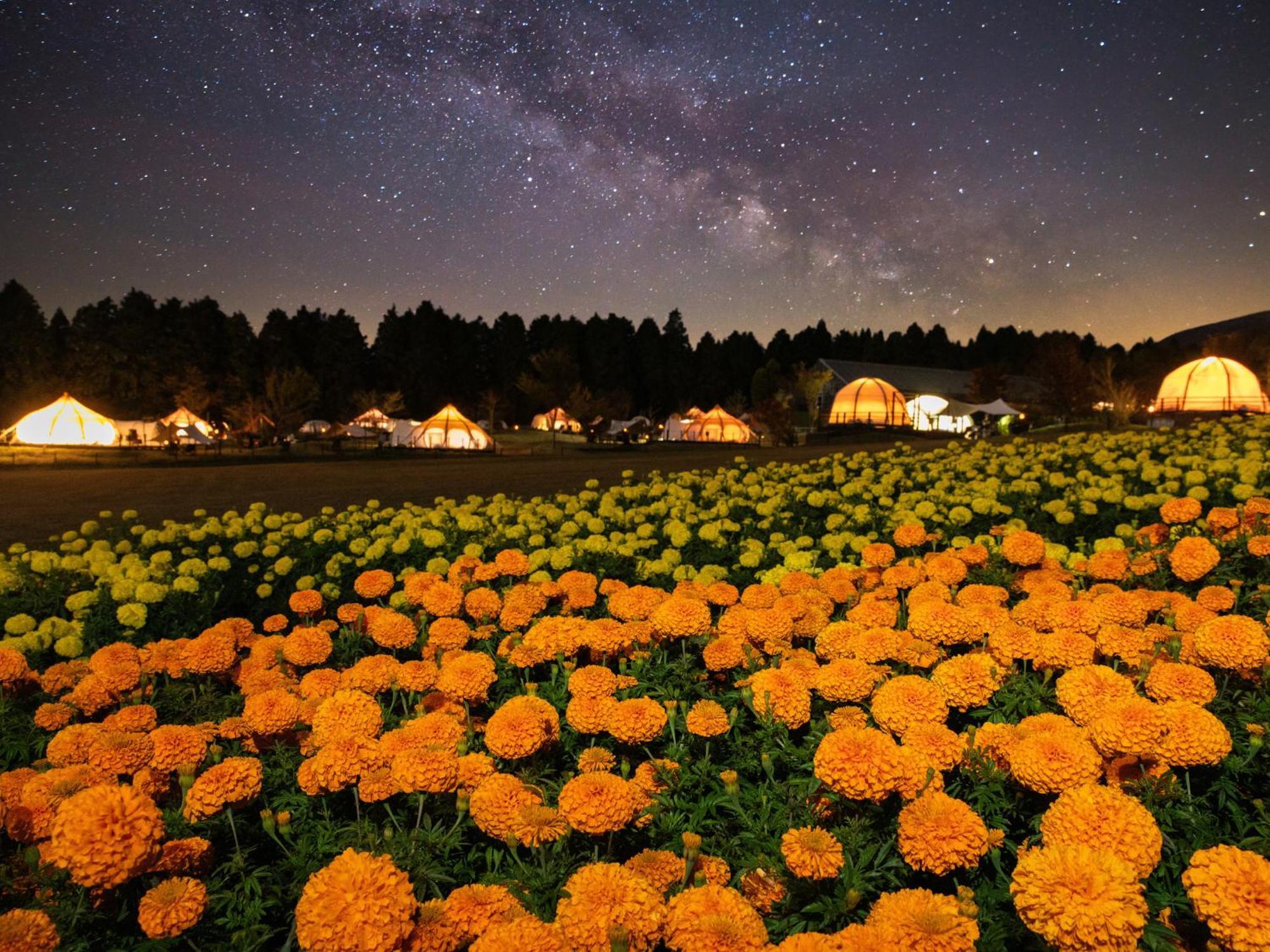 くじゅう花公園　キャンピングリゾート花と星 Kuju Exterior photo