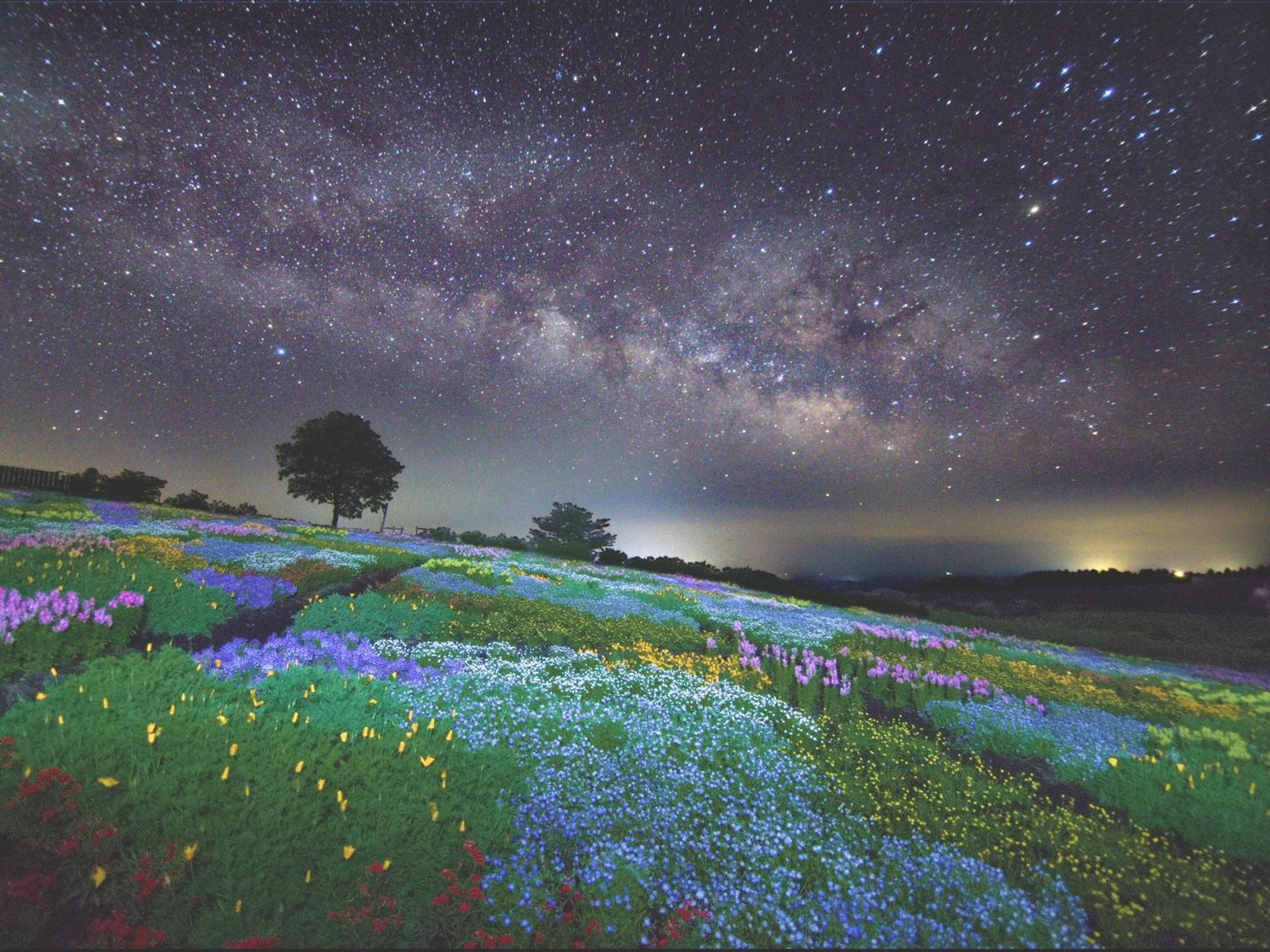 くじゅう花公園　キャンピングリゾート花と星 Kuju Exterior photo