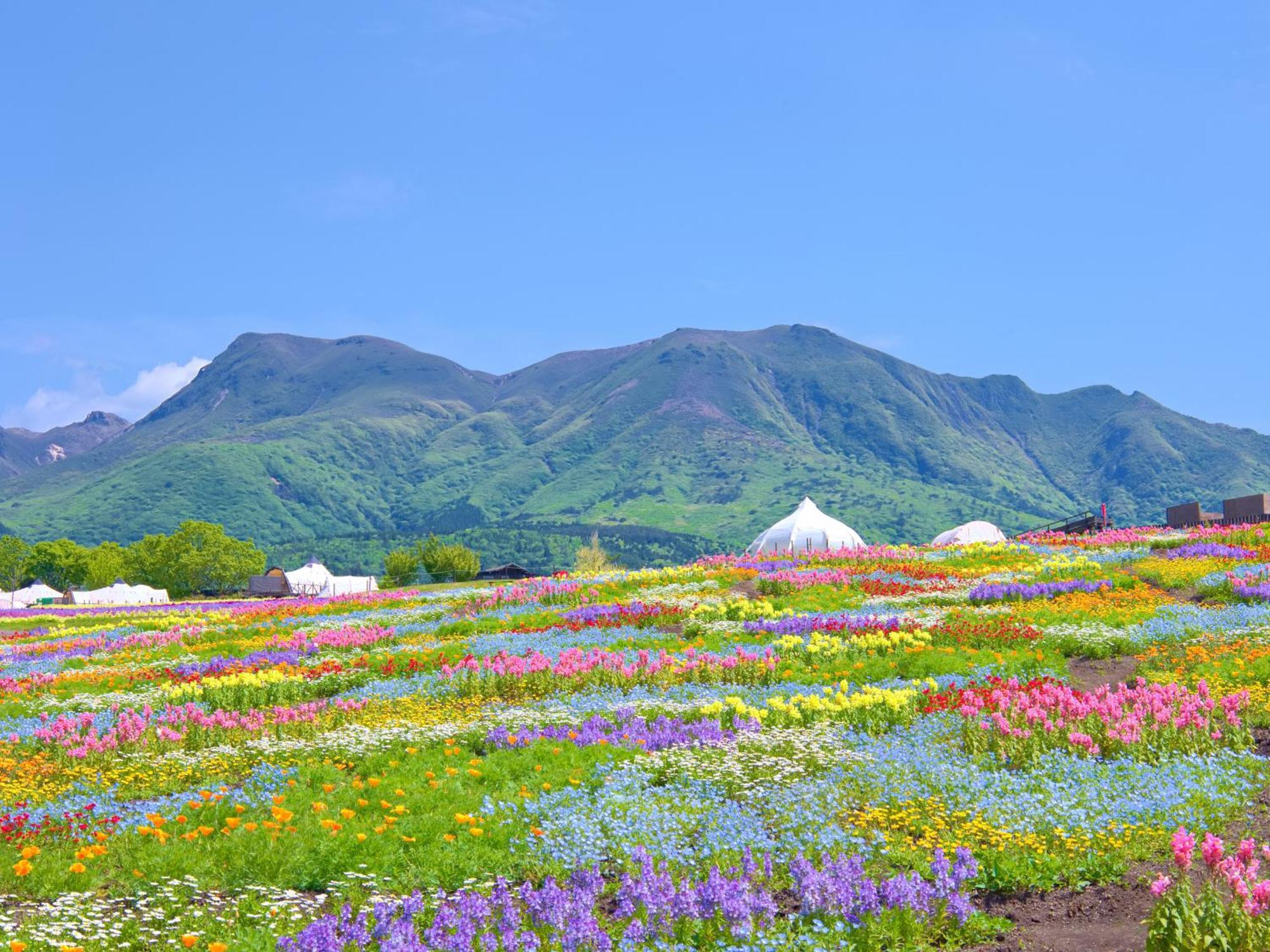 くじゅう花公園　キャンピングリゾート花と星 Kuju Exterior photo