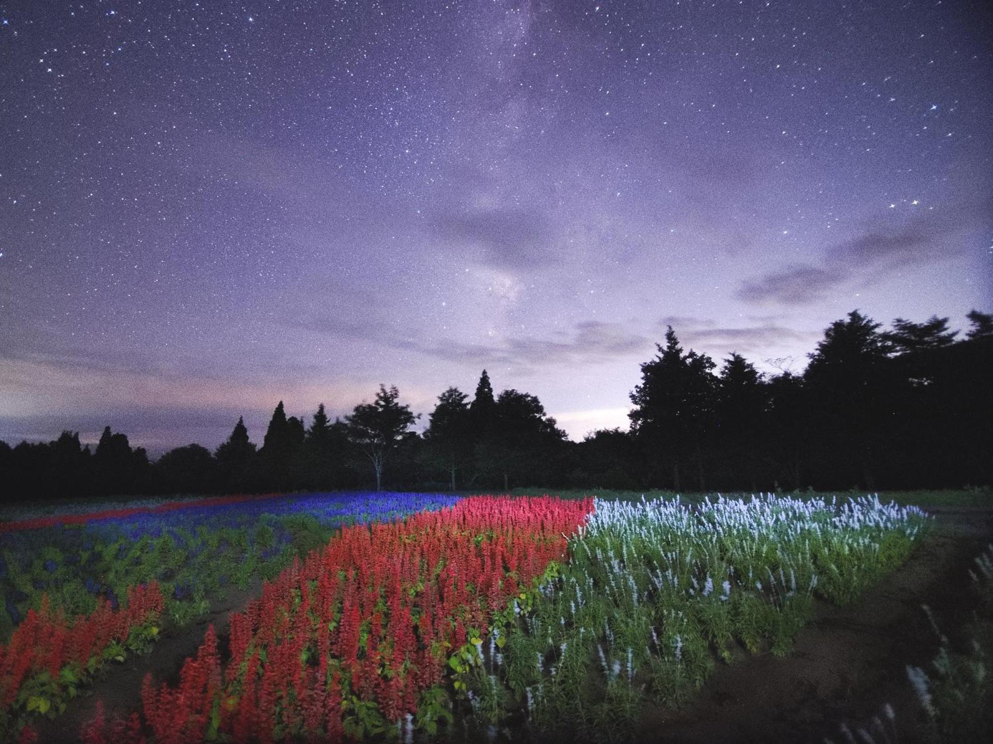 くじゅう花公園　キャンピングリゾート花と星 Kuju Exterior photo
