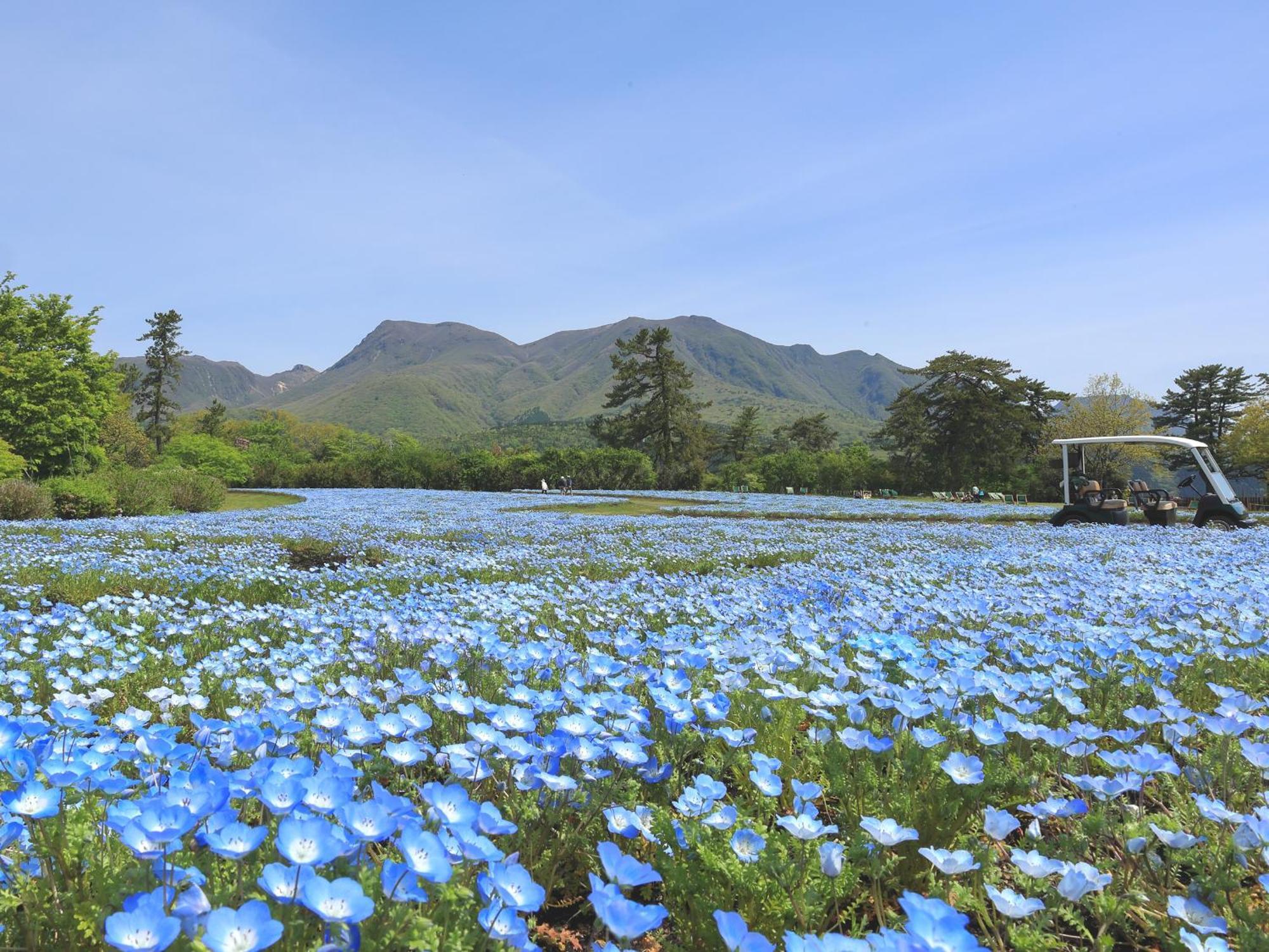 くじゅう花公園　キャンピングリゾート花と星 Kuju Exterior photo
