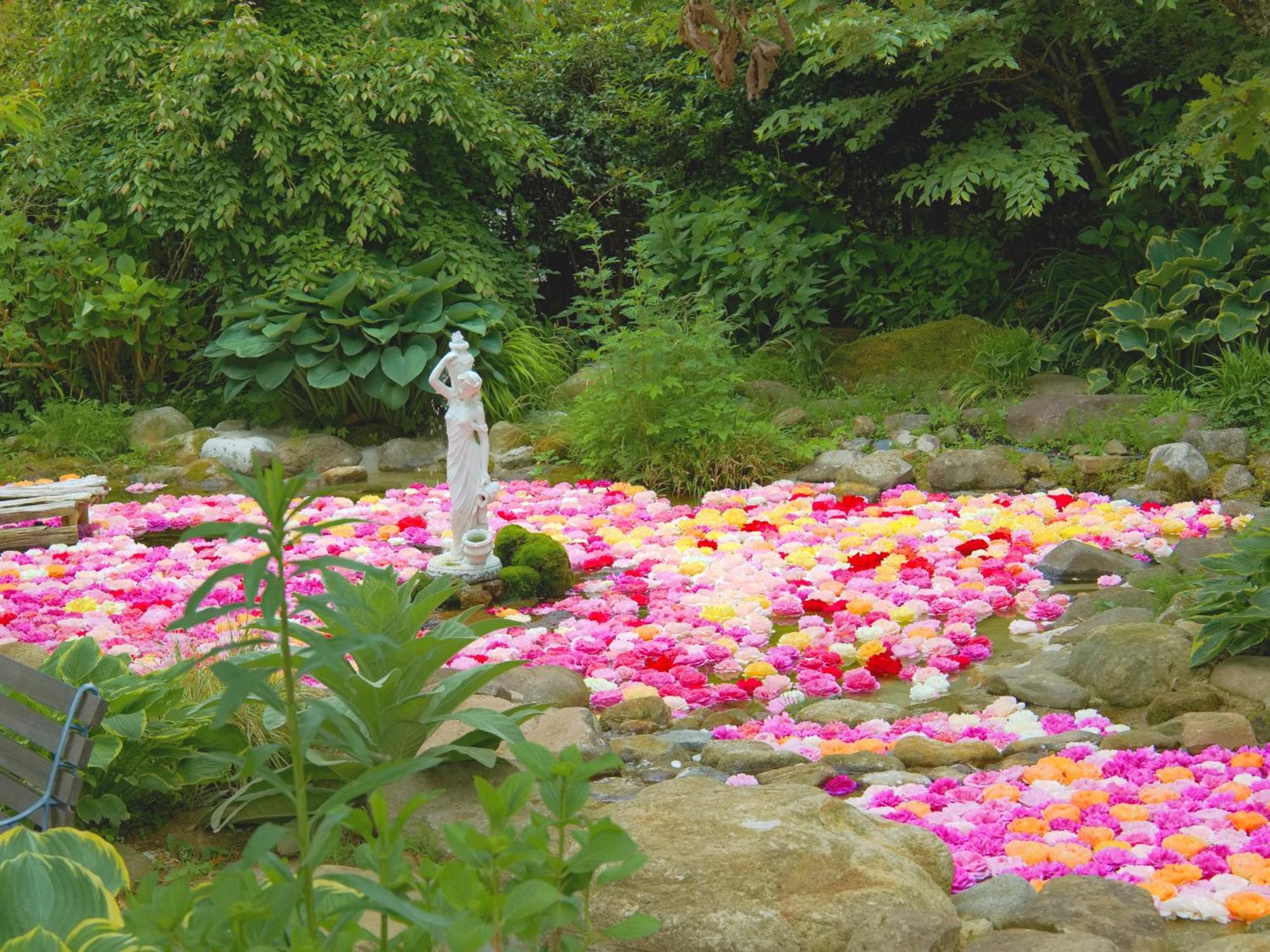 くじゅう花公園　キャンピングリゾート花と星 Kuju Exterior photo