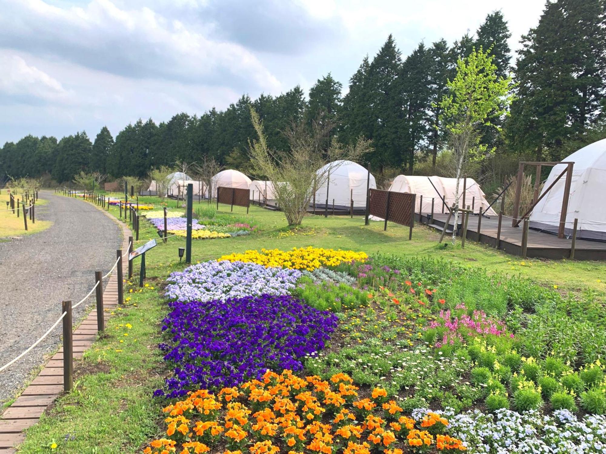 くじゅう花公園　キャンピングリゾート花と星 Kuju Exterior photo
