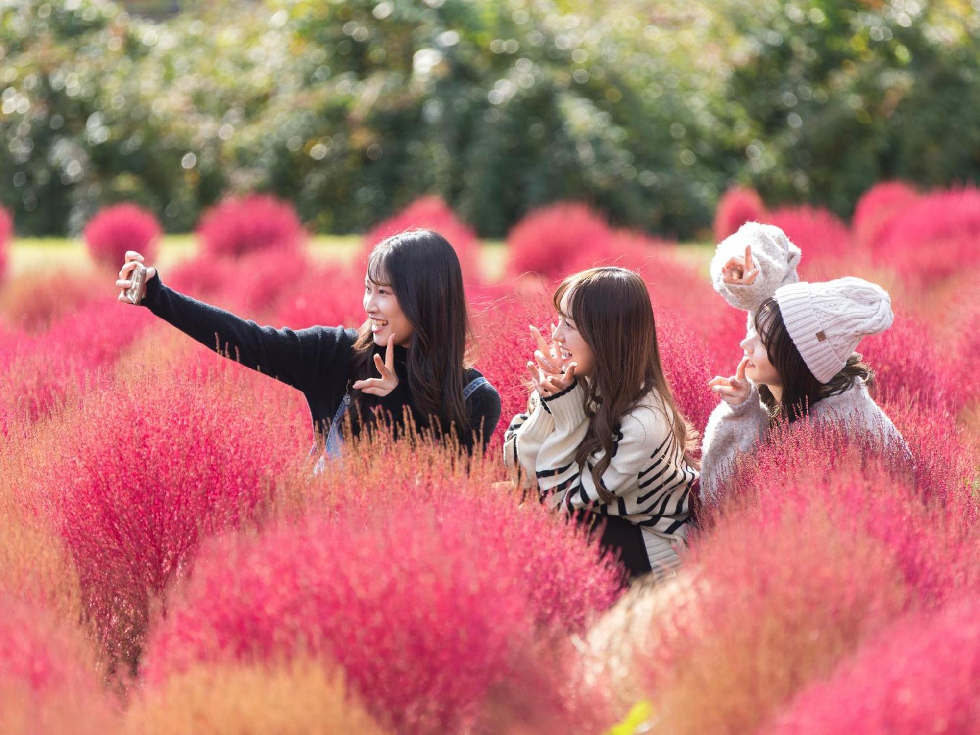 くじゅう花公園　キャンピングリゾート花と星 Kuju Exterior photo