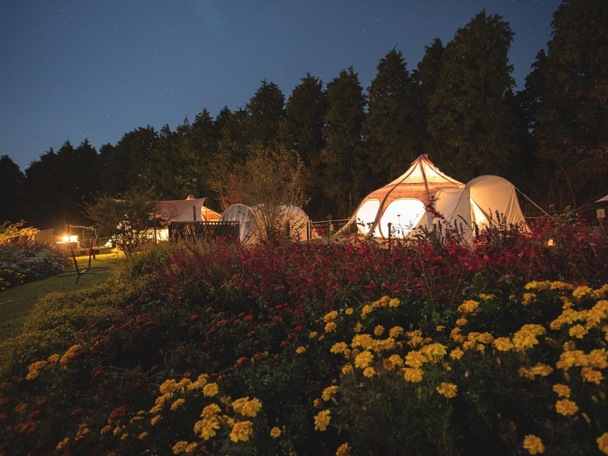 くじゅう花公園　キャンピングリゾート花と星 Kuju Exterior photo