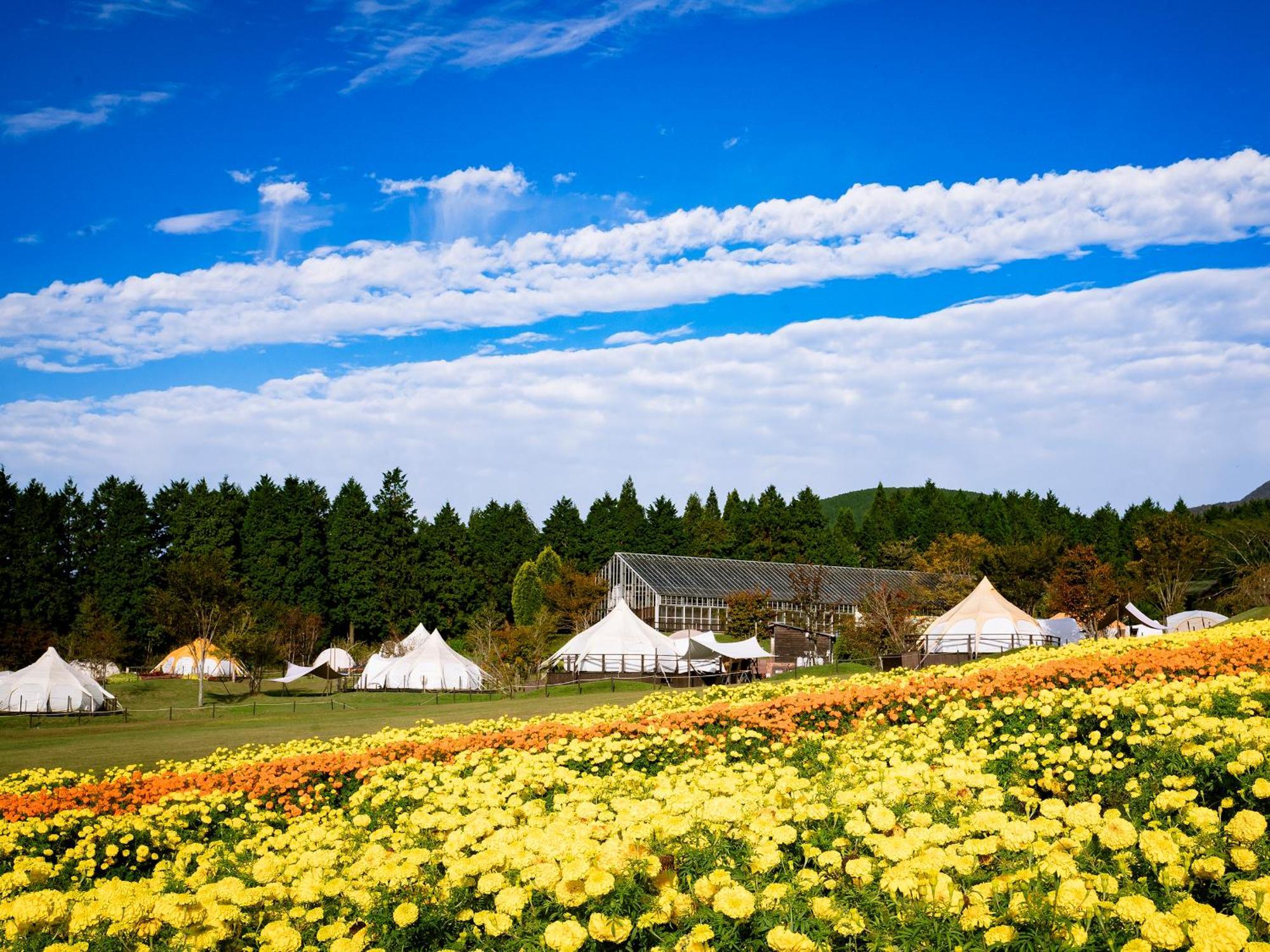 くじゅう花公園　キャンピングリゾート花と星 Kuju Exterior photo