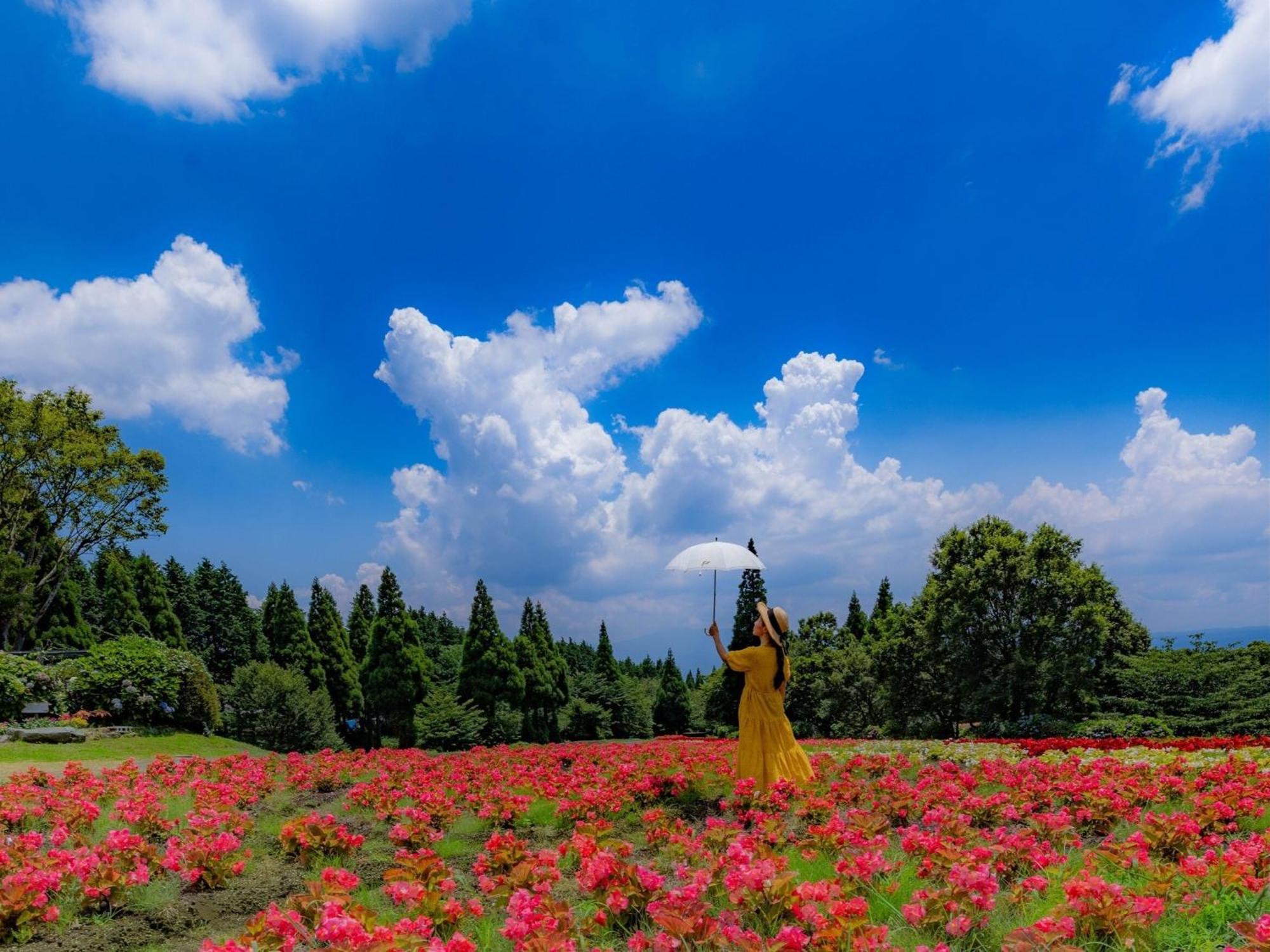 くじゅう花公園　キャンピングリゾート花と星 Kuju Exterior photo