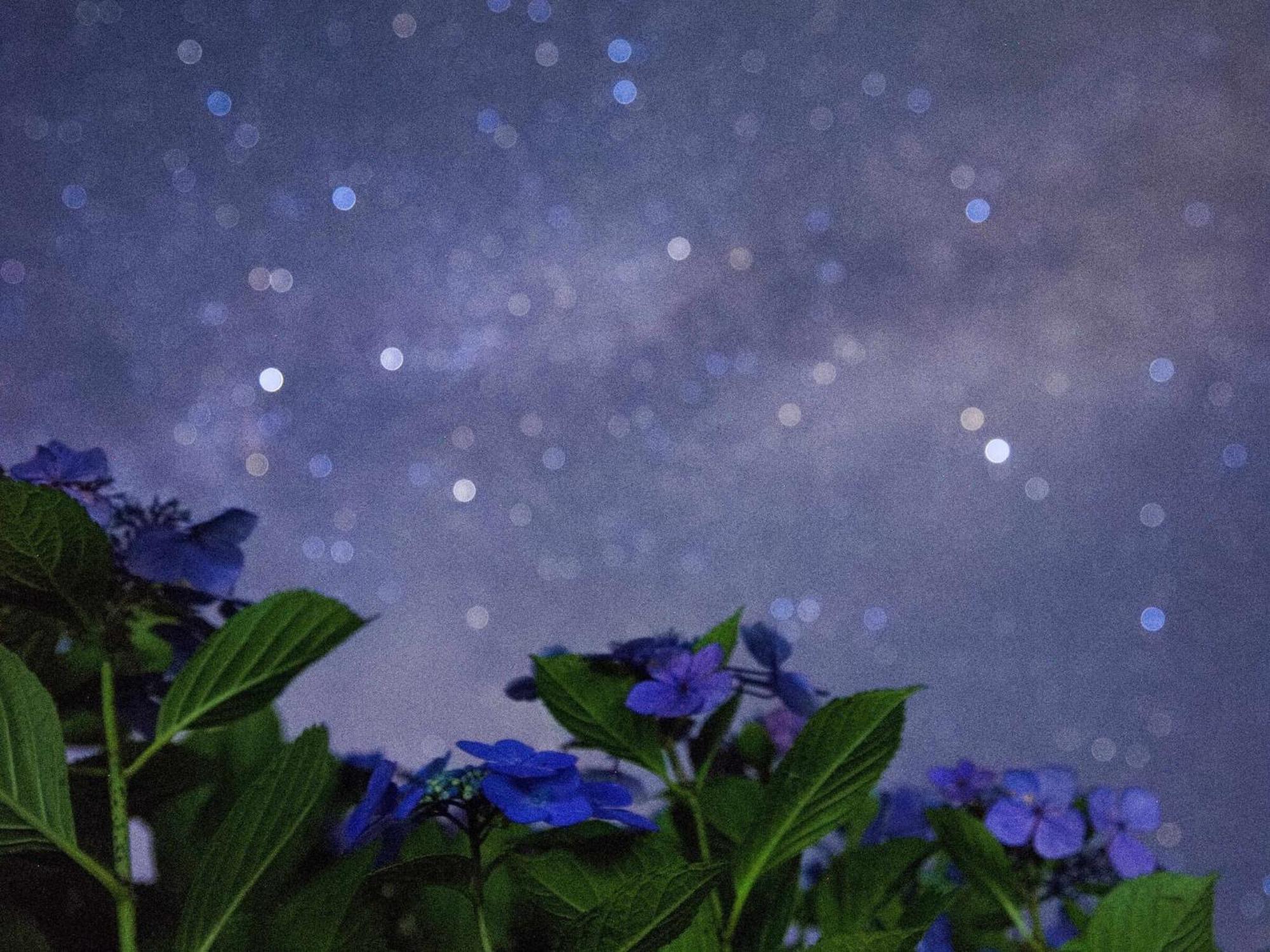 くじゅう花公園　キャンピングリゾート花と星 Kuju Exterior photo