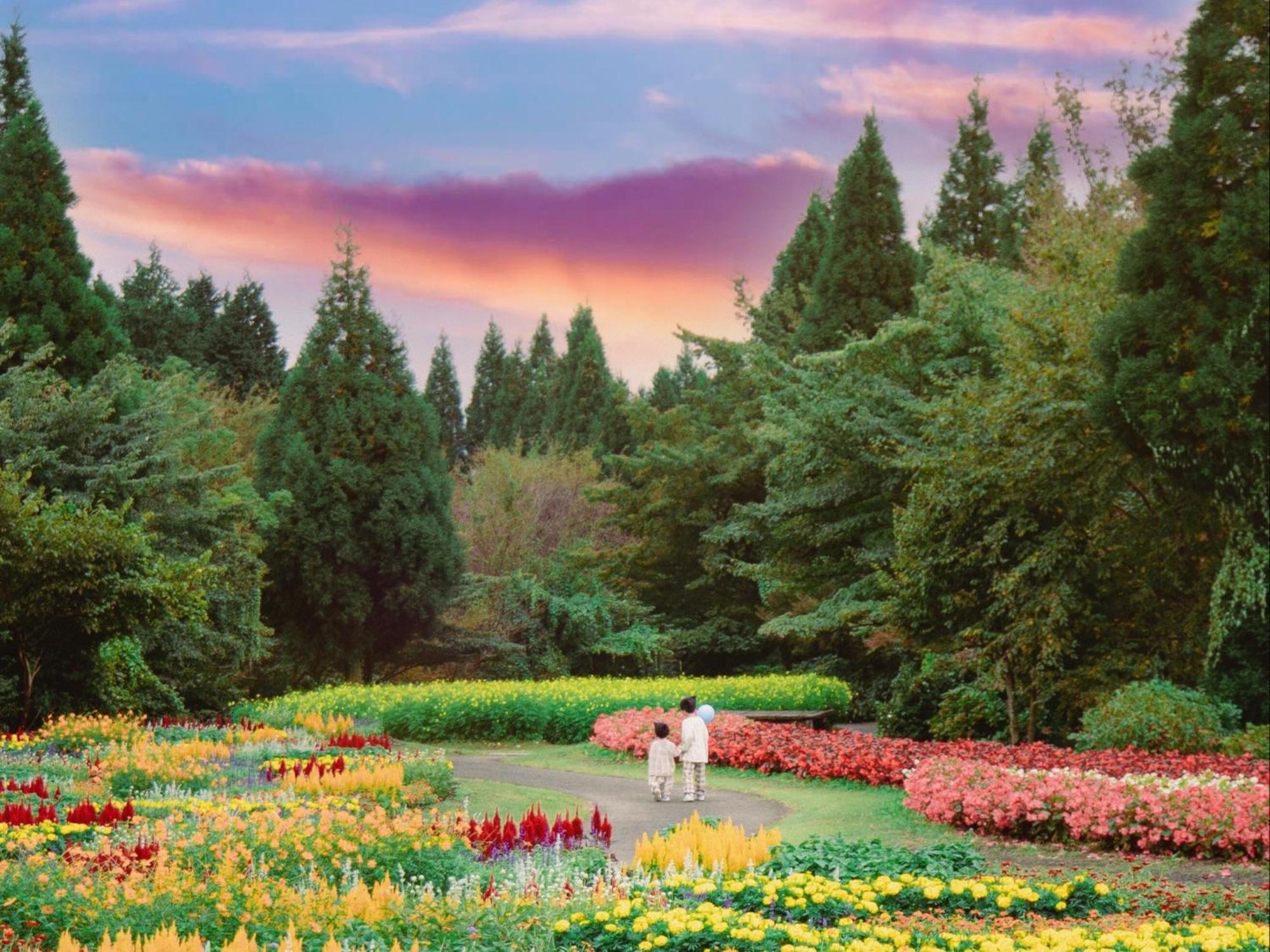 くじゅう花公園　キャンピングリゾート花と星 Kuju Exterior photo